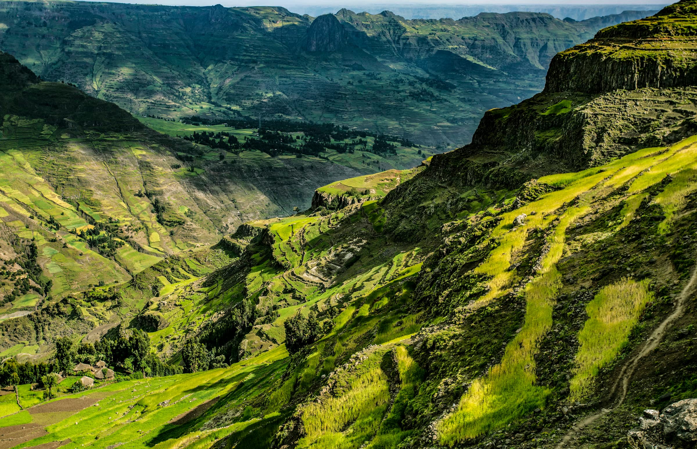 Wide view of the Ethiopian highlands where specialty coffee is grown.